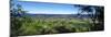 Vineyard, Wine Country, California, USA-Panoramic Images-Mounted Photographic Print