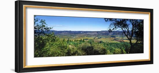 Vineyard, Wine Country, California, USA-Panoramic Images-Framed Photographic Print