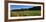 Vineyard, Wine Country, Sonoma Valley, California, USA-Panoramic Images-Framed Photographic Print