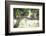 Vineyard with Lush, Ripe Wine Grapes on the Vine Ready for Harvest.-Andy Dean Photography-Framed Photographic Print