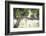 Vineyard with Lush, Ripe Wine Grapes on the Vine Ready for Harvest.-Andy Dean Photography-Framed Photographic Print