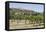 Vineyard with San Gimignano in Background, Tuscany, Italy-Martin Child-Framed Premier Image Canvas