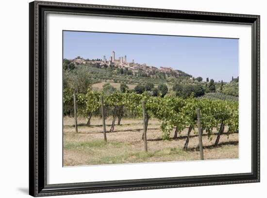 Vineyard with San Gimignano in Background, Tuscany, Italy-Martin Child-Framed Photographic Print