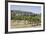 Vineyard with San Gimignano in Background, Tuscany, Italy-Martin Child-Framed Photographic Print