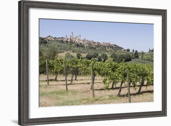 Vineyard with San Gimignano in Background, Tuscany, Italy-Martin Child-Framed Photographic Print