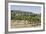 Vineyard with San Gimignano in Background, Tuscany, Italy-Martin Child-Framed Photographic Print