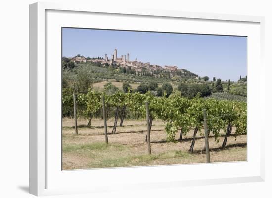 Vineyard with San Gimignano in Background, Tuscany, Italy-Martin Child-Framed Photographic Print