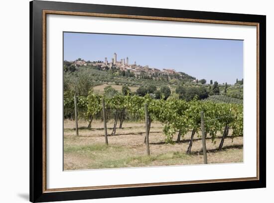 Vineyard with San Gimignano in Background, Tuscany, Italy-Martin Child-Framed Photographic Print
