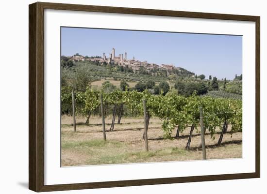 Vineyard with San Gimignano in Background, Tuscany, Italy-Martin Child-Framed Photographic Print