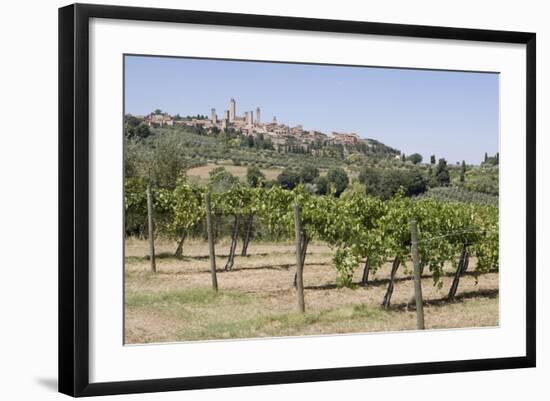 Vineyard with San Gimignano in Background, Tuscany, Italy-Martin Child-Framed Photographic Print