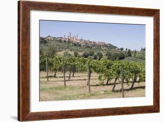 Vineyard with San Gimignano in Background, Tuscany, Italy-Martin Child-Framed Photographic Print