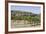 Vineyard with San Gimignano in Background, Tuscany, Italy-Martin Child-Framed Photographic Print