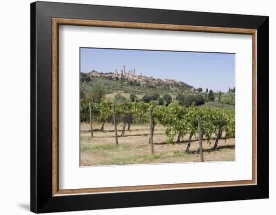 Vineyard with San Gimignano in Background, Tuscany, Italy-Martin Child-Framed Photographic Print