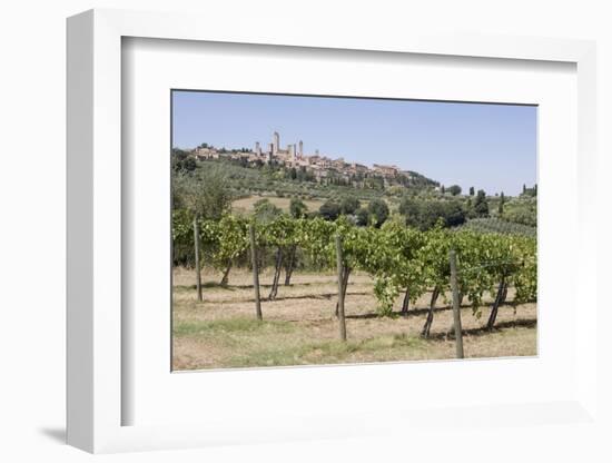 Vineyard with San Gimignano in Background, Tuscany, Italy-Martin Child-Framed Photographic Print