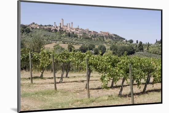 Vineyard with San Gimignano in Background, Tuscany, Italy-Martin Child-Mounted Photographic Print