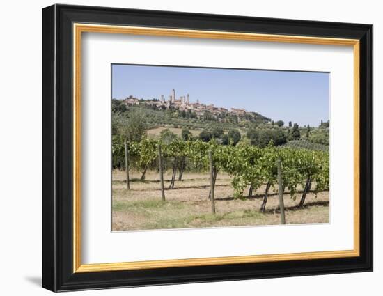 Vineyard with San Gimignano in Background, Tuscany, Italy-Martin Child-Framed Photographic Print