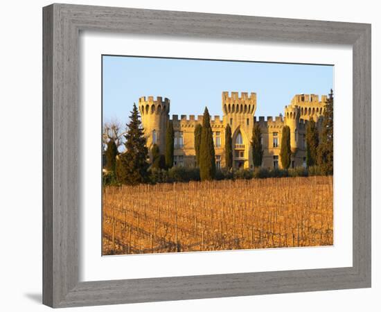 Vineyard with Syrah Vines and Chateau Des Fines Roches, Chateauneuf-Du-Pape, Vaucluse-Per Karlsson-Framed Photographic Print