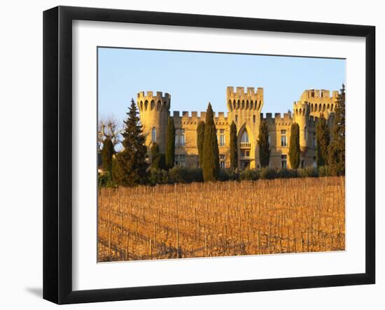 Vineyard with Syrah Vines and Chateau Des Fines Roches, Chateauneuf-Du-Pape, Vaucluse-Per Karlsson-Framed Photographic Print