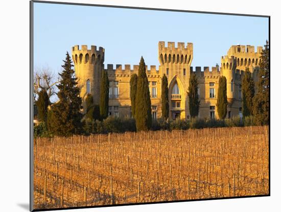 Vineyard with Syrah Vines and Chateau Des Fines Roches, Chateauneuf-Du-Pape, Vaucluse-Per Karlsson-Mounted Photographic Print