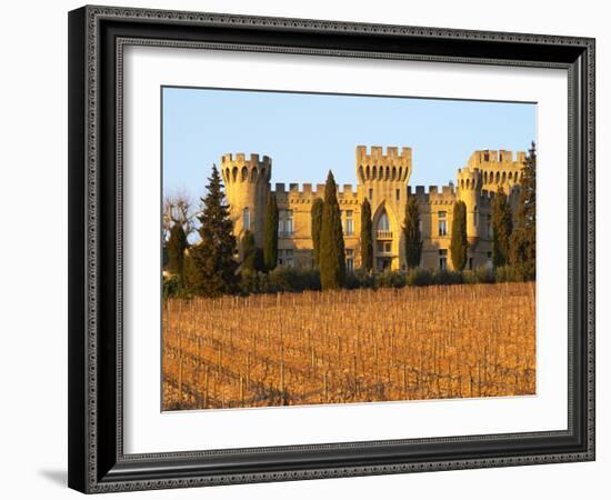 Vineyard with Syrah Vines and Chateau Des Fines Roches, Chateauneuf-Du-Pape, Vaucluse-Per Karlsson-Framed Photographic Print