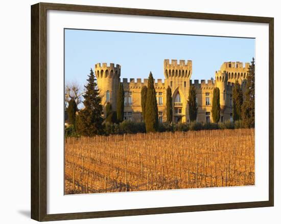 Vineyard with Syrah Vines and Chateau Des Fines Roches, Chateauneuf-Du-Pape, Vaucluse-Per Karlsson-Framed Photographic Print