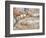 Vineyard Worker, Bodega Del Anelo Winery, Finca Roja, Anelo Region, Neuquen, Patagonia, Argentina-Per Karlsson-Framed Photographic Print