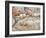 Vineyard Worker, Bodega Del Anelo Winery, Finca Roja, Anelo Region, Neuquen, Patagonia, Argentina-Per Karlsson-Framed Photographic Print