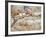 Vineyard Worker, Bodega Del Anelo Winery, Finca Roja, Anelo Region, Neuquen, Patagonia, Argentina-Per Karlsson-Framed Photographic Print