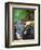 Vineyard Worker Harvesting Bunch of Grenache Noir Grapes, Collioure, Languedoc-Roussillon, France-Per Karlsson-Framed Photographic Print