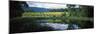 Vineyard, Yarra Valley, Victoria, Australia-null-Mounted Photographic Print