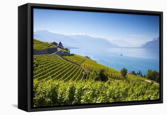 Vineyards Above Vevey, Lake Geneva, Vaud, Switzerland-Jon Arnold-Framed Premier Image Canvas