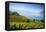 Vineyards Above Vevey, Lake Geneva, Vaud, Switzerland-Jon Arnold-Framed Premier Image Canvas