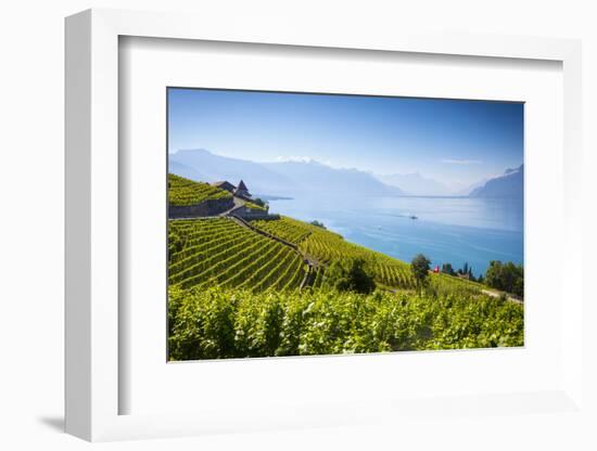 Vineyards Above Vevey, Lake Geneva, Vaud, Switzerland-Jon Arnold-Framed Photographic Print