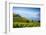 Vineyards Above Vevey, Lake Geneva, Vaud, Switzerland-Jon Arnold-Framed Photographic Print