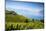 Vineyards Above Vevey, Lake Geneva, Vaud, Switzerland-Jon Arnold-Mounted Photographic Print