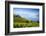 Vineyards Above Vevey, Lake Geneva, Vaud, Switzerland-Jon Arnold-Framed Photographic Print