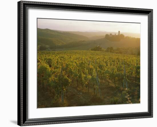 Vineyards and Ancient Monastery, Badia a Passignano, Greve, Chianti Classico, Tuscany, Italy-Michael Newton-Framed Photographic Print