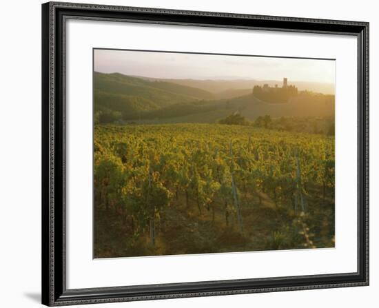 Vineyards and Ancient Monastery, Badia a Passignano, Greve, Chianti Classico, Tuscany, Italy-Michael Newton-Framed Photographic Print