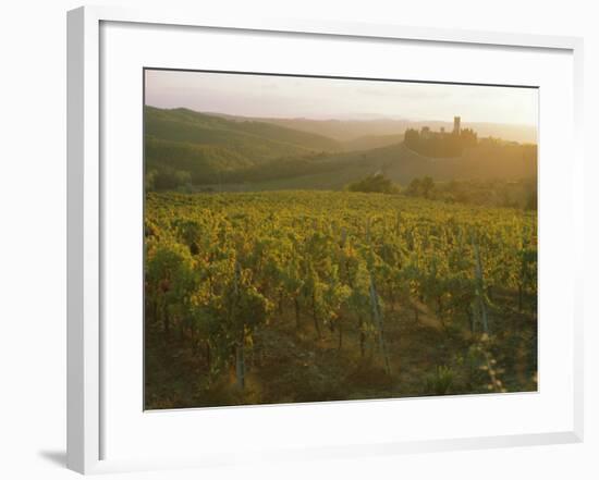 Vineyards and Ancient Monastery, Badia a Passignano, Greve, Chianti Classico, Tuscany, Italy-Michael Newton-Framed Photographic Print