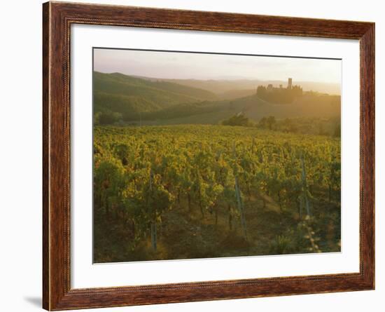 Vineyards and Ancient Monastery, Badia a Passignano, Greve, Chianti Classico, Tuscany, Italy-Michael Newton-Framed Photographic Print