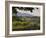 Vineyards and Cactus with Montserrat Mountain, Catalunya, Spain-Janis Miglavs-Framed Photographic Print