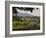 Vineyards and Cactus with Montserrat Mountain, Catalunya, Spain-Janis Miglavs-Framed Photographic Print