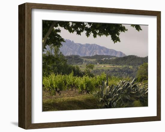 Vineyards and Cactus with Montserrat Mountain, Catalunya, Spain-Janis Miglavs-Framed Photographic Print