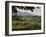 Vineyards and Cactus with Montserrat Mountain, Catalunya, Spain-Janis Miglavs-Framed Photographic Print