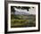 Vineyards and Cactus with Montserrat Mountain, Catalunya, Spain-Janis Miglavs-Framed Photographic Print