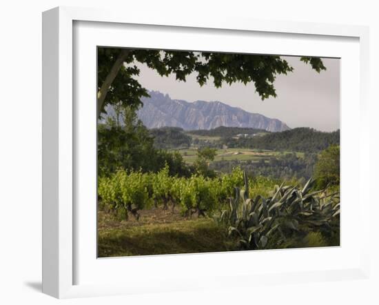 Vineyards and Cactus with Montserrat Mountain, Catalunya, Spain-Janis Miglavs-Framed Photographic Print