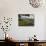 Vineyards and Cactus with Montserrat Mountain, Catalunya, Spain-Janis Miglavs-Photographic Print displayed on a wall