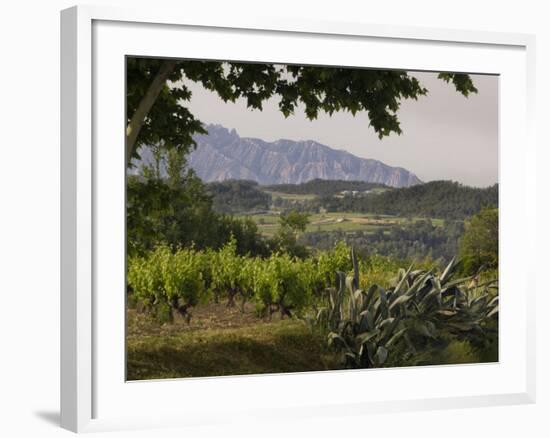 Vineyards and Cactus with Montserrat Mountain, Catalunya, Spain-Janis Miglavs-Framed Photographic Print