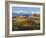 Vineyards and Castle, Grinzane Cavour, Cuneo District, Langhe-Peter Adams-Framed Photographic Print