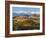 Vineyards and Castle, Grinzane Cavour, Cuneo District, Langhe-Peter Adams-Framed Photographic Print